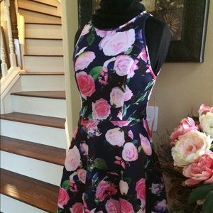 NWT Betsey Johnson floral print scuba dress